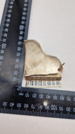 Brocha fortepian - obrazek 7