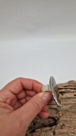 Agatowy Świat - obrazek 6