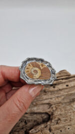 Amon Amoni - obrazek 2