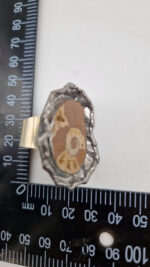 Amon Amoni - obrazek 11