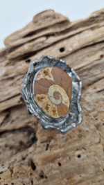 Amon Amoni - obrazek 4