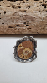 Amon Amoni - obrazek 8