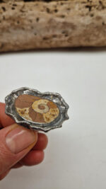 Amon Amoni - obrazek 9