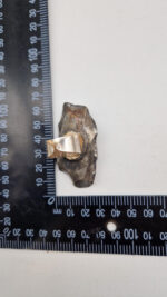 Pierścionek Brazylijska Opowieść - obrazek 11