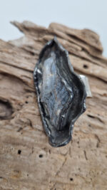 Pierścionek Brazylijska Opowieść - obrazek 4