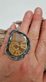 Amonitas - obrazek 2