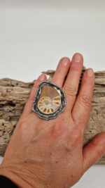 Amonitas - obrazek 11