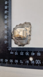 Amonitas - obrazek 13