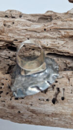 Amonitas - obrazek 3