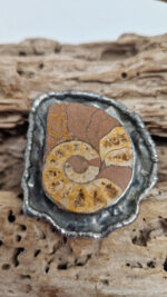 Amonitas - obrazek 5