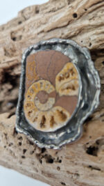 Amonitas - obrazek 6