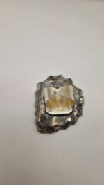 Amonitas - obrazek 9