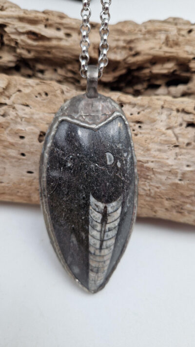 Wisior Orthoceras Leon