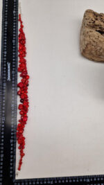 Naszyjnik Koralowa Harmonia - obrazek 14