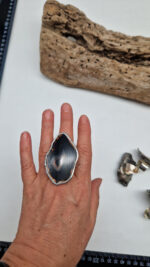 Czarna Hańcza - obrazek 8