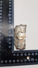 Pierścień Miód i Orzeszki - obrazek 17