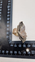 Pierścionek Brazylijska Opowieść - obrazek 12