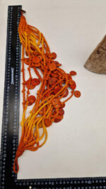 Naszyjnik Królowej Gorących Plaż - obrazek 11