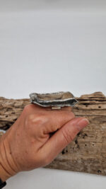 Skamieniały Leo Grande - obrazek 5