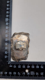 Skamieniały Leo Grande - obrazek 10