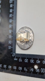 Nefrytowa Lula - obrazek 10