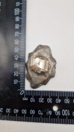 Pierścionek Chalcedon Jack - obrazek 11