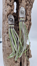 Zielone Kałamarnice - obrazek 8