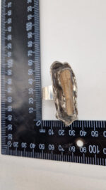 Johny Cappuccino - obrazek 12