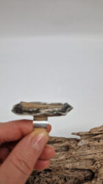 Johny Cappuccino - obrazek 14