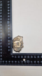 Malachitowy Cud - obrazek 11