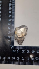 Zielonooka Inez - obrazek 11