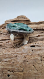 Jezioro w Twoich Oczach - obrazek 4