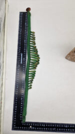 Naszyjnik Lula Zielozłota - obrazek 18