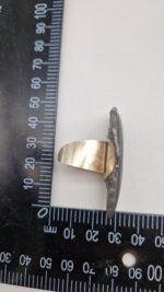 Ortoceras - obrazek 11