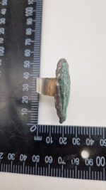 Ortoceras - obrazek 9