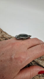 Labradorytowa Księżniczka - obrazek 3