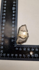 Labradorytowa Bella - obrazek 8