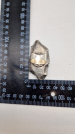 Bella z Madagaskaru - obrazek 12