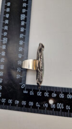 Bella z Madagaskaru - obrazek 13