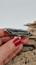 Bella z Madagaskaru - obrazek 5