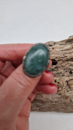 Indyjska Opowieść - obrazek 2