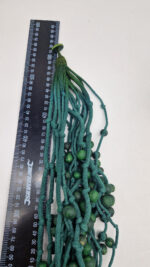 Naszyjnik Królowa Manilu - obrazek 13