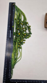 Naszyjnik Wiosenna Manilu - obrazek 19