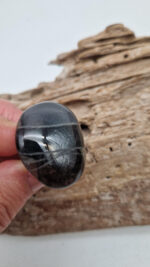 Zoe Black Bell - obrazek 4